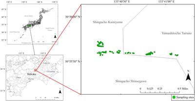 Ionomic Responses of Local Plant Species to Natural Edaphic Mineral Variations